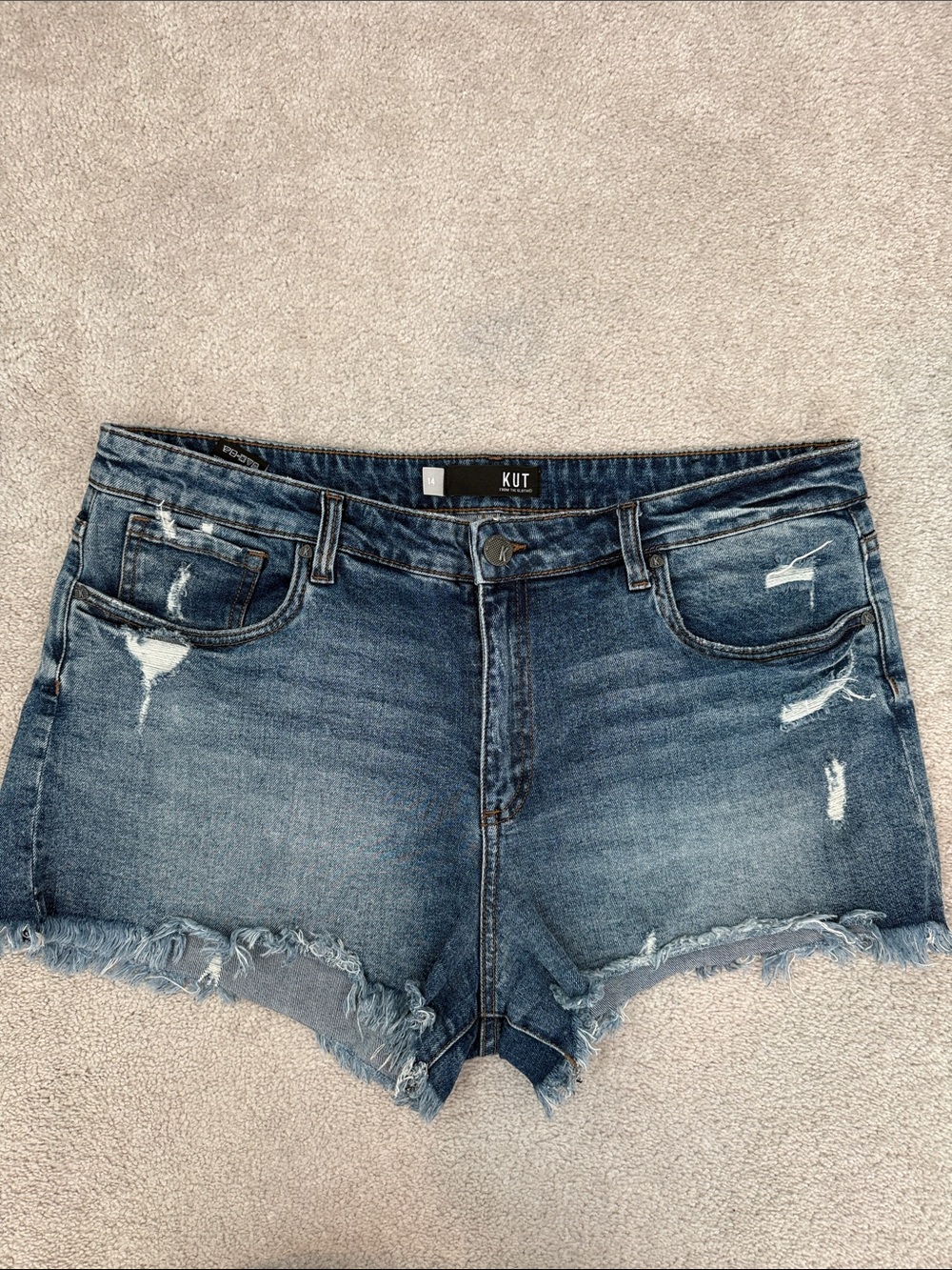 Kut from the Kloth 14 Jane high rise shorts